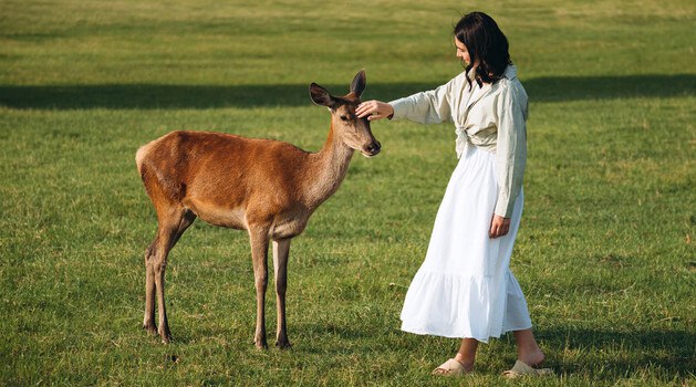 Одноденні екскурсії